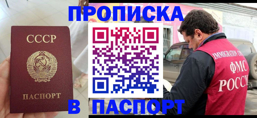 прописка поиск в Зеленогорске